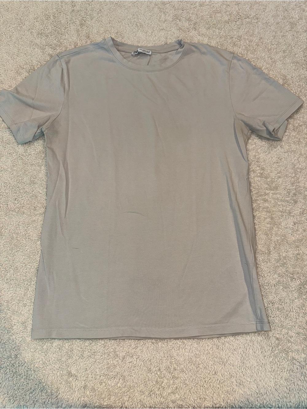 Men's Zara Crew Neck T-Shirt in Light Gray